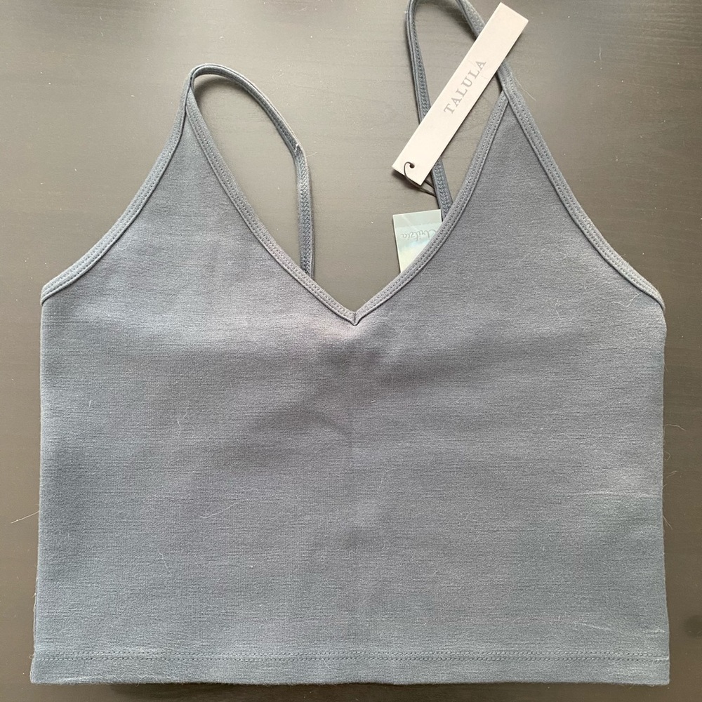 Aritzia Talula Crop Top!